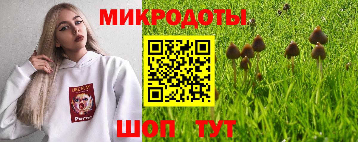 Новошахтинск  Псилоцибиновые грибы мицелий  Вход с VPN 